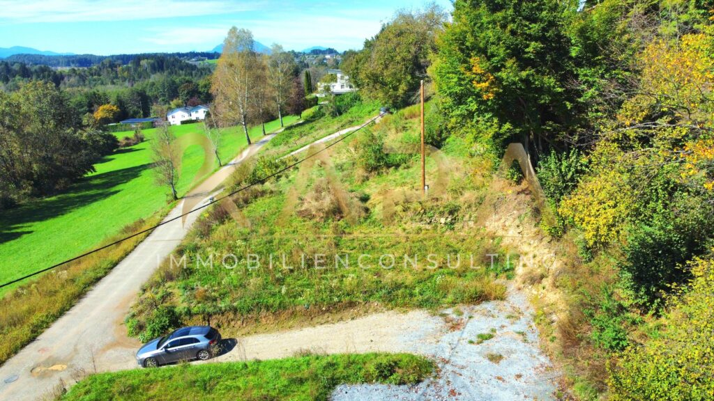 Blick aufs Grundstück