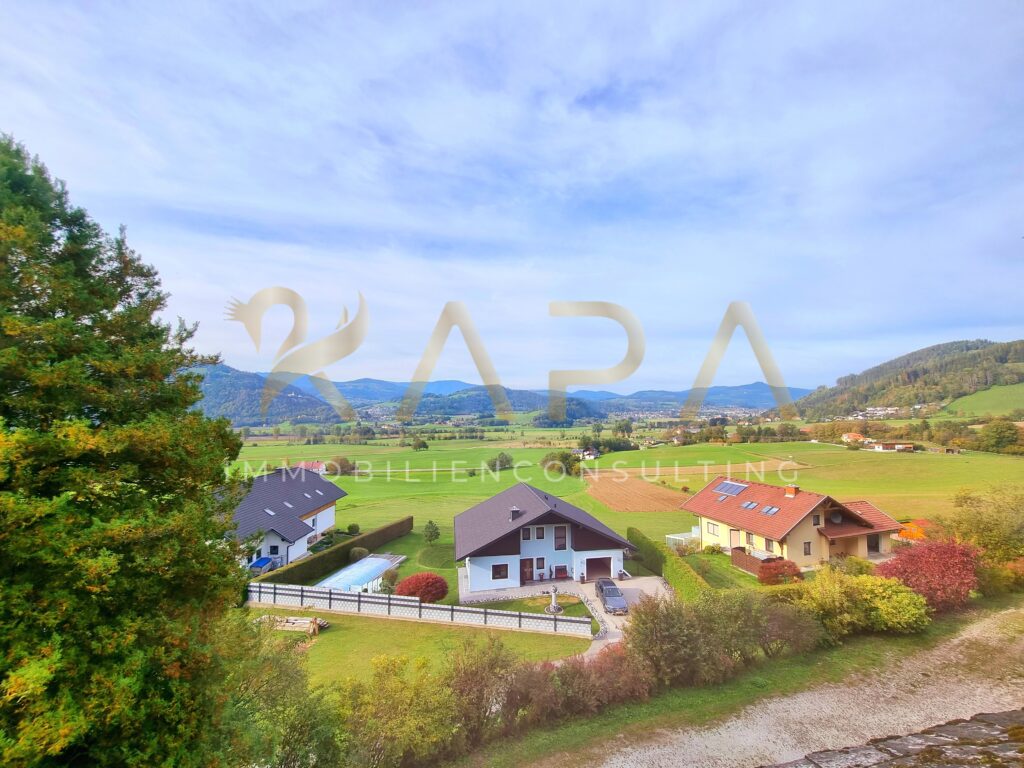 Aussicht aus der Küche im Sommer