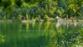 Aichwaldsee 